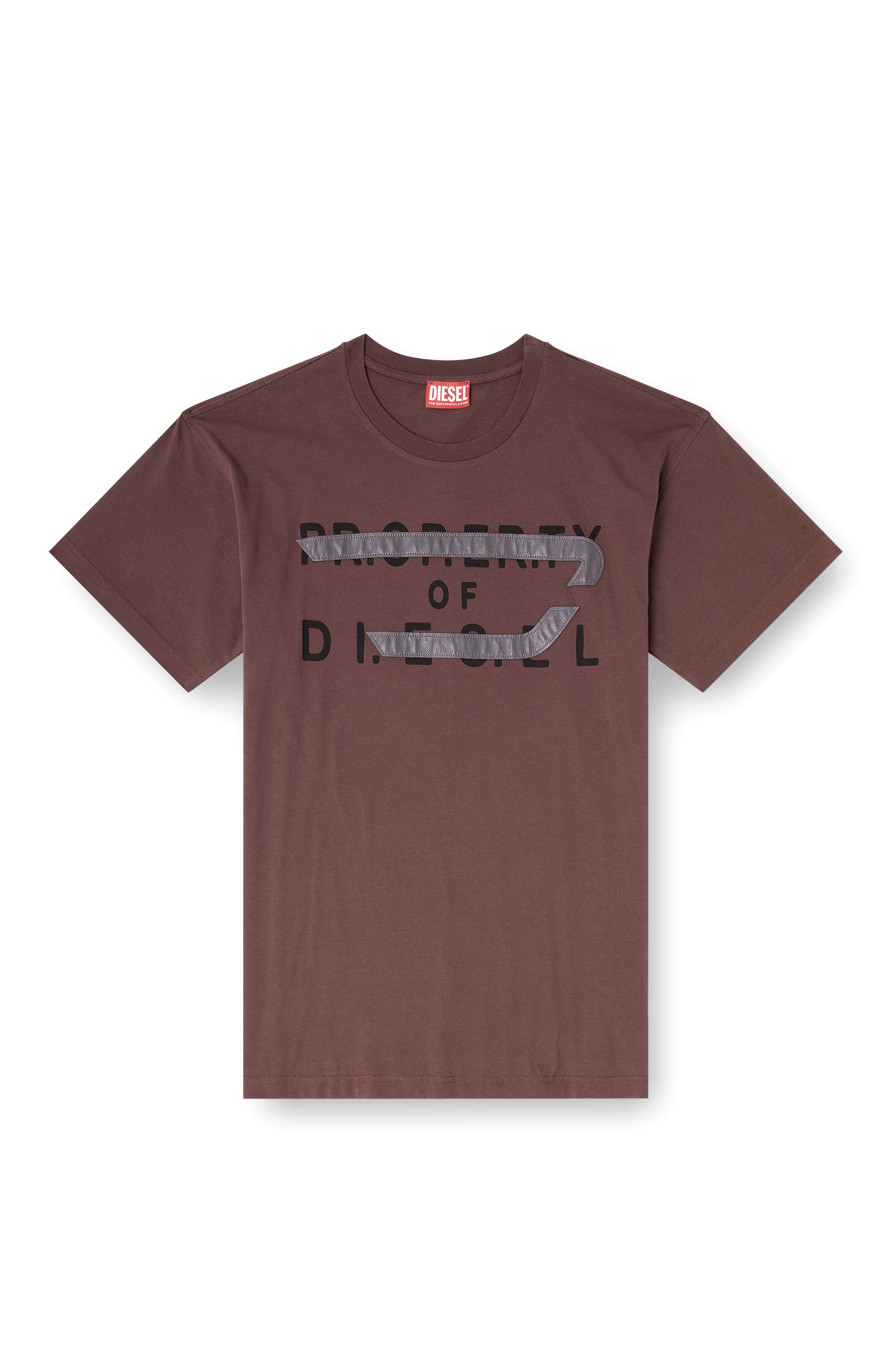 Diesel - T-NORM-V11, Man's Regular T-shirt with D appliqu&eacute; in Brown - 2